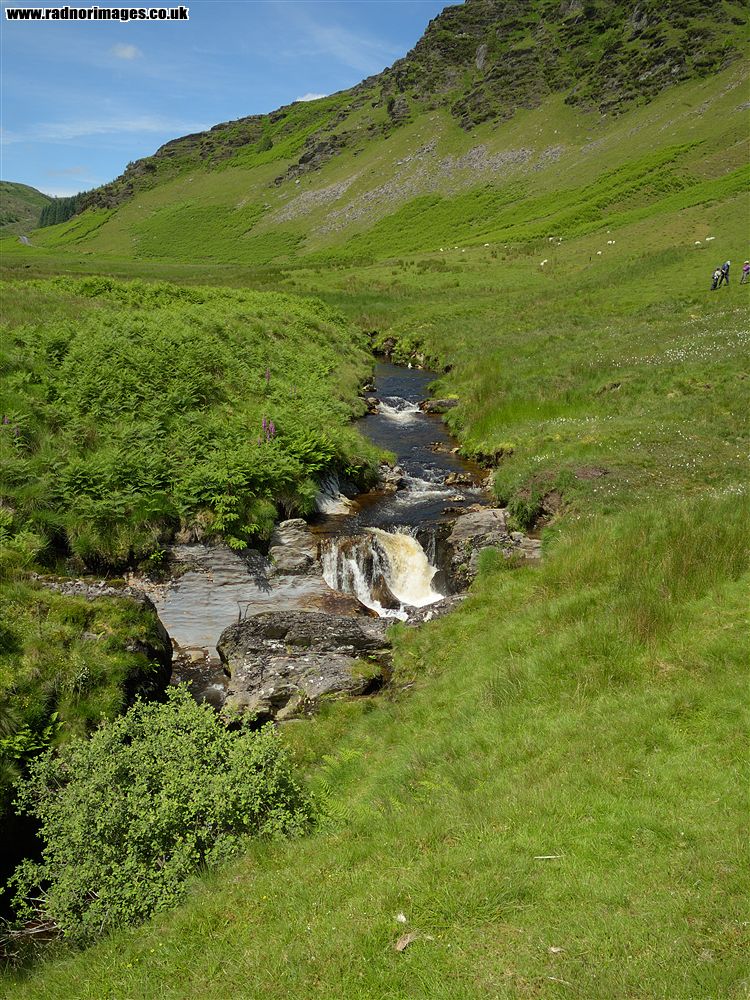 Afon Irfon