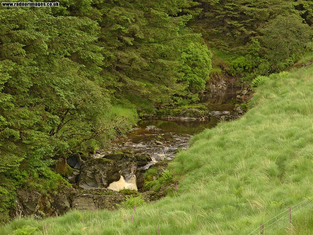 Afon Tywi