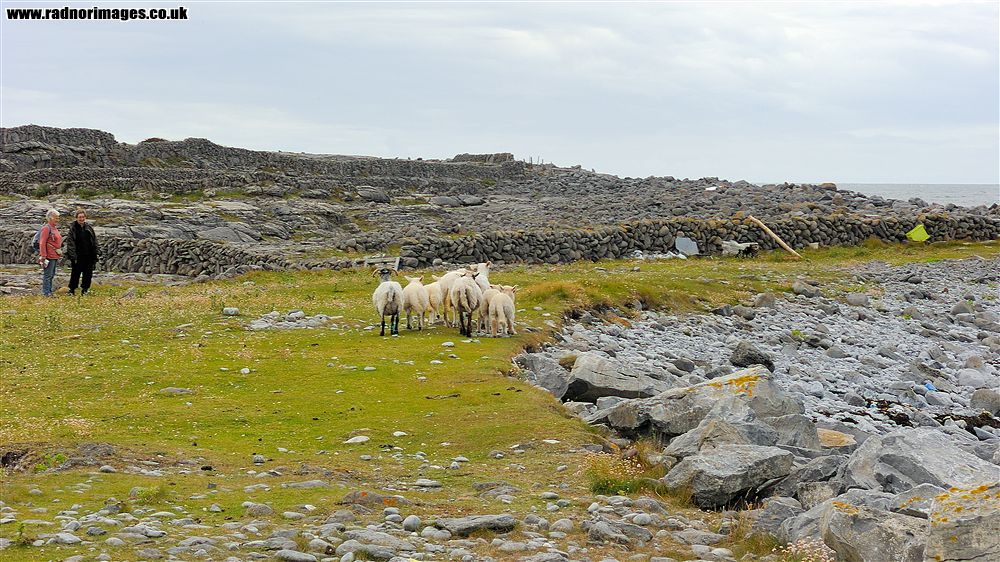 Aran Islands