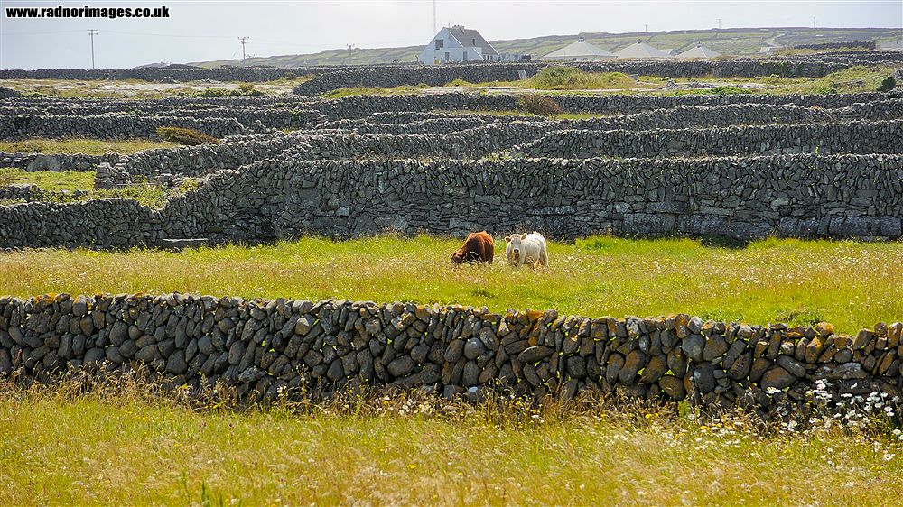 Aran Islands