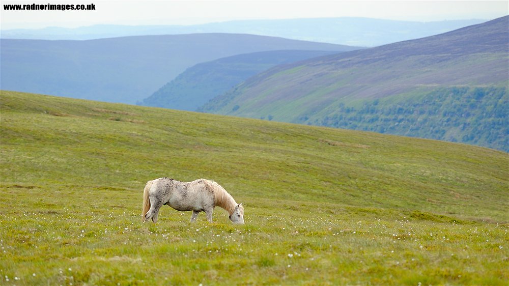 Black Mountains