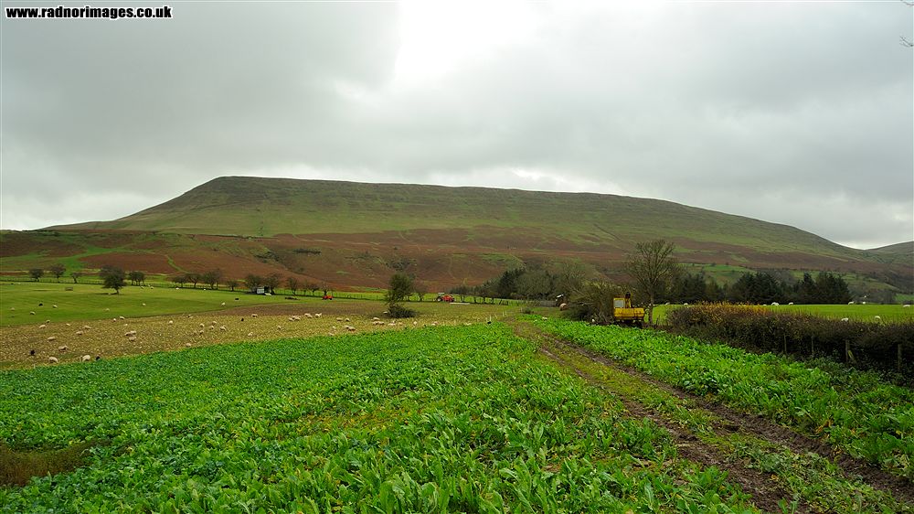 Black Mountains