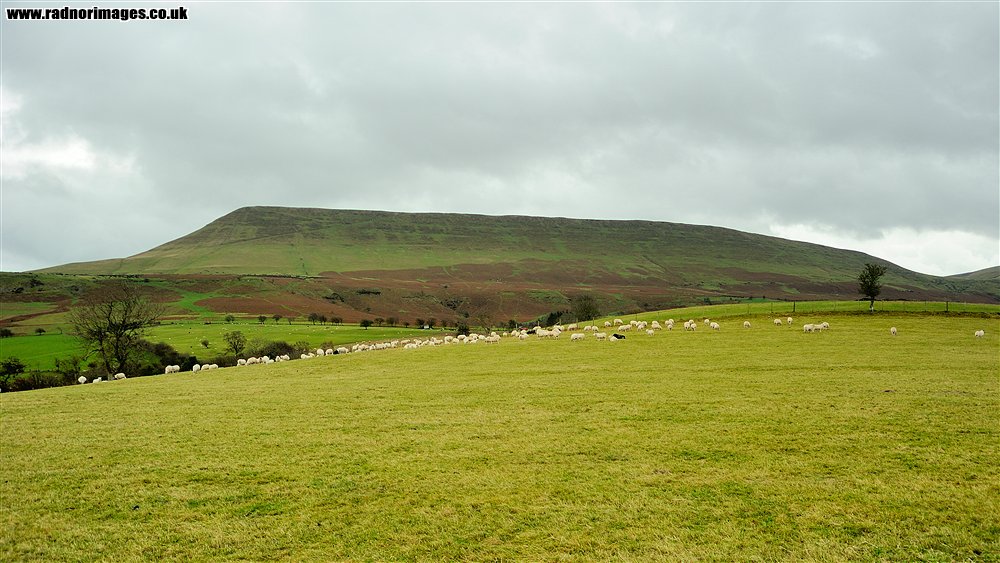 Black Mountains