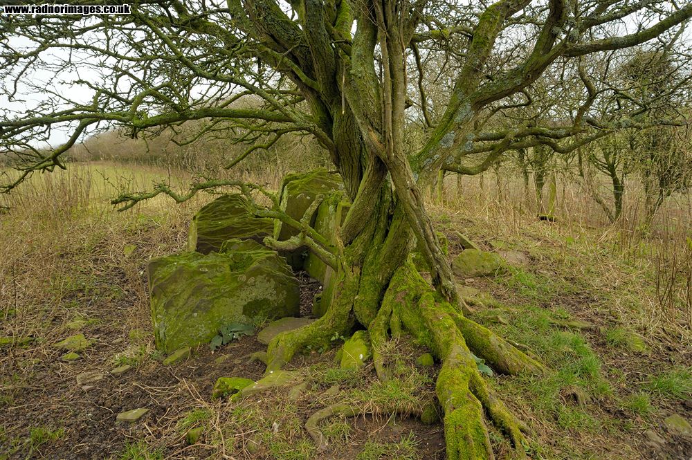 Black Mountains