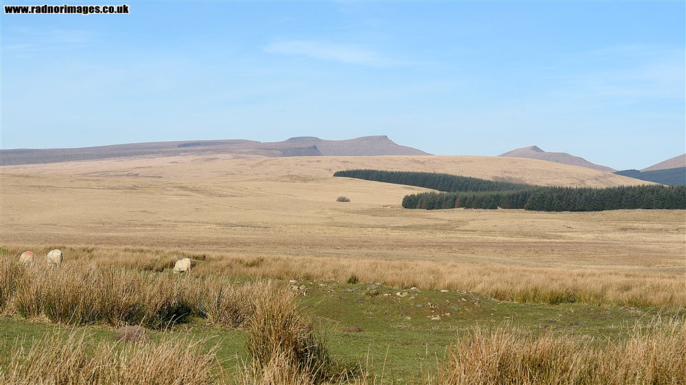 Brecon Beacons