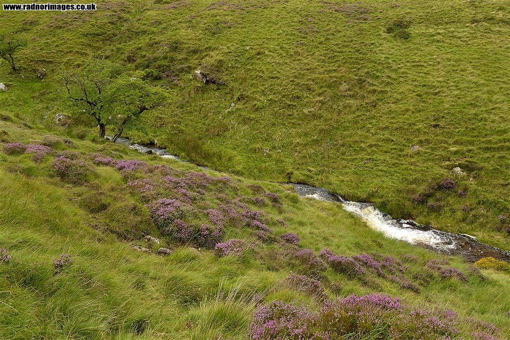 Brecon Beacons