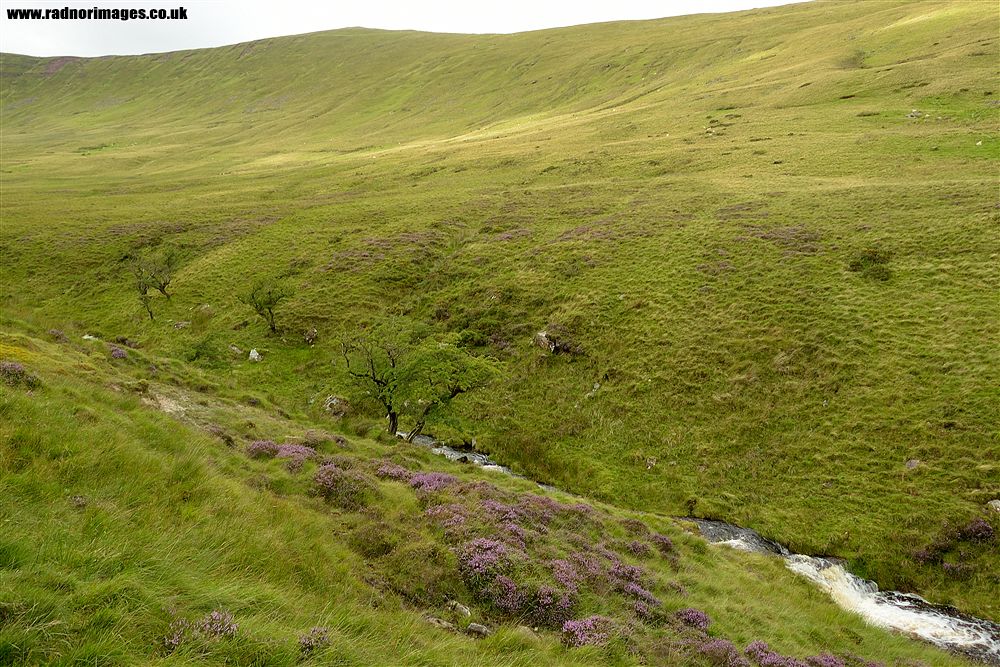 Brecon Beacons