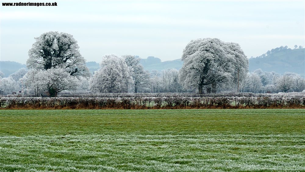 Caersws