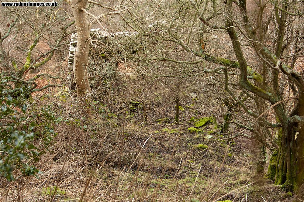 Cusop Hill