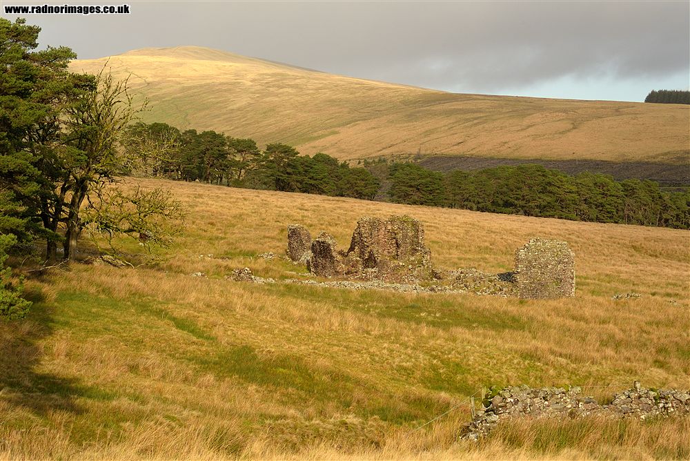 Fforest Fawr