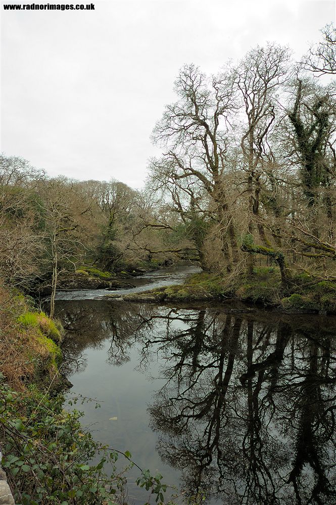 Glengarriff