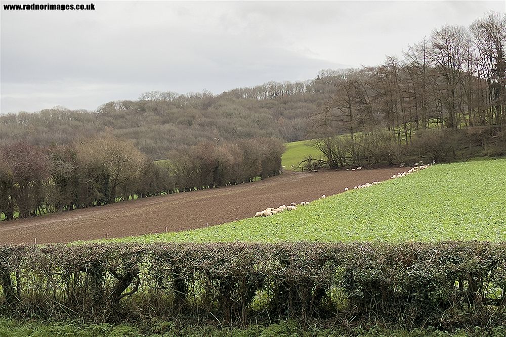 Hay on Wye
