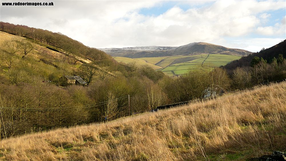 Hayfield