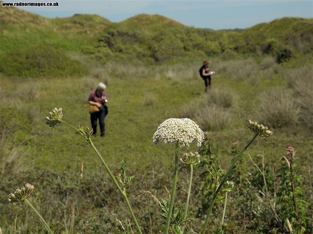 Kenfig