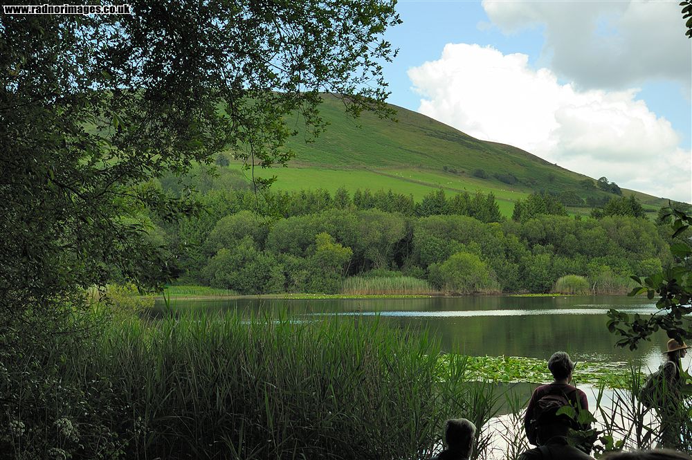 Llandeilo Hill