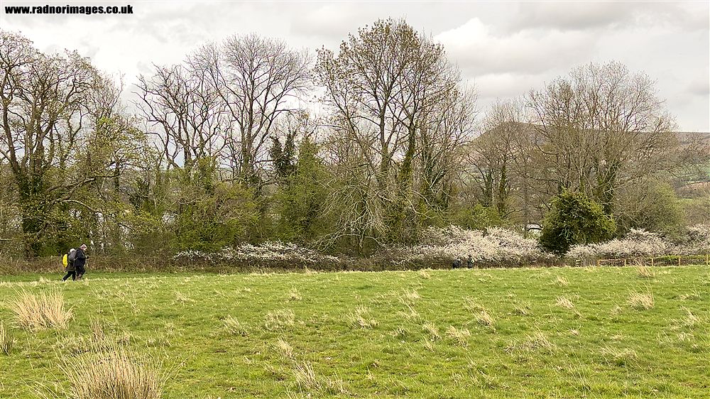 Llangors Lake