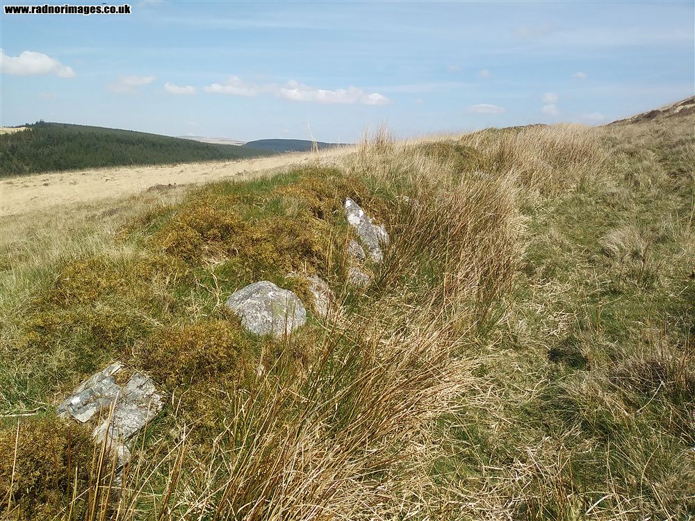 Llanwrtyd