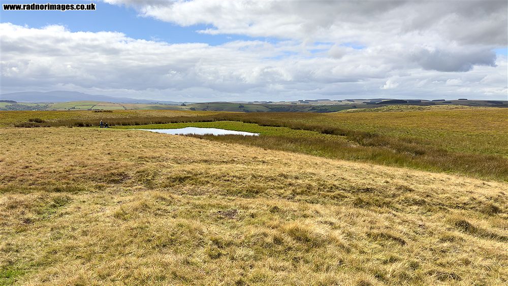 Middle Epynt Common