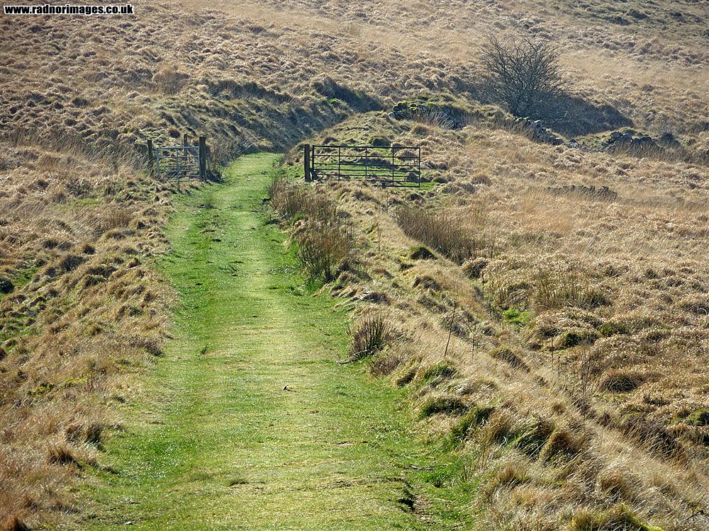 Ogof Ffynnon Ddu
