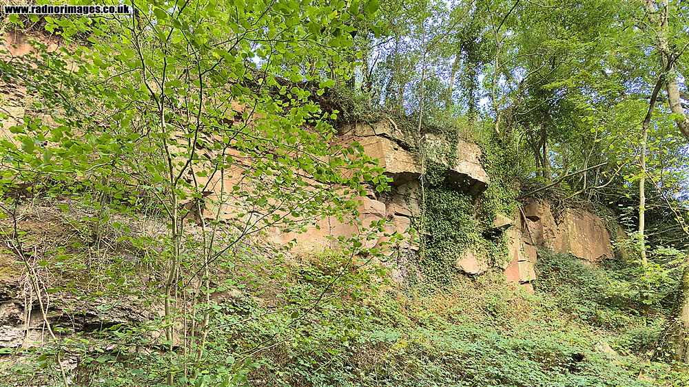 Pwll yr Wrach Reserve