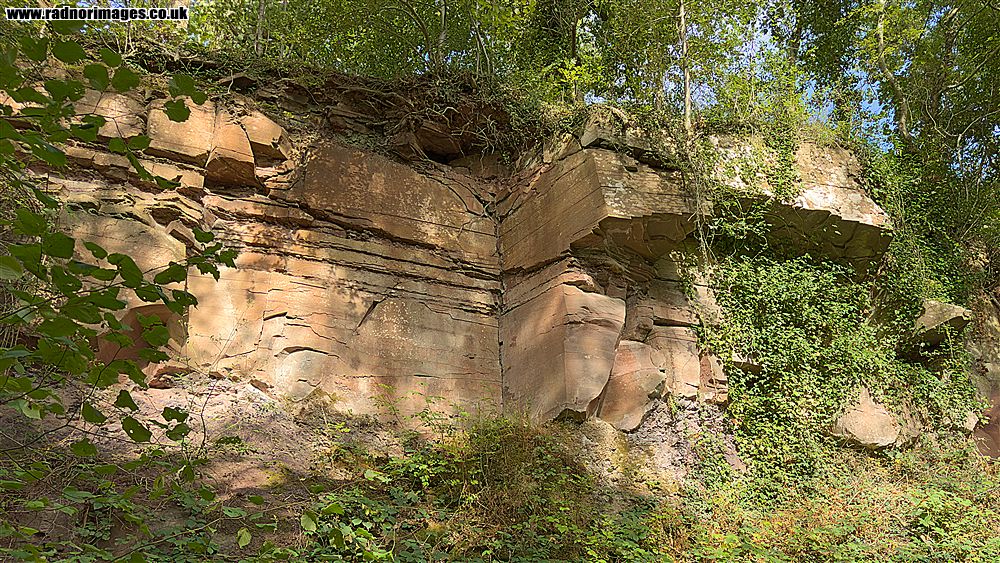 Pwll yr Wrach Reserve
