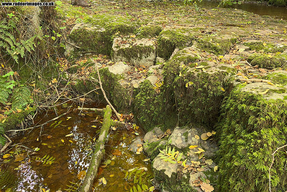 Pwll yr Wrach Reserve
