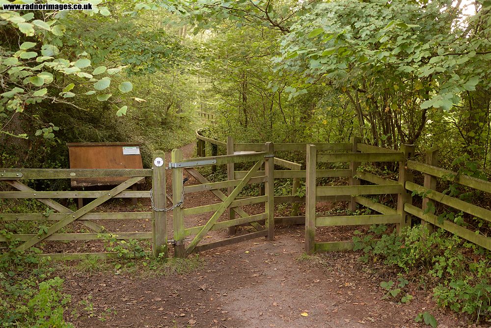 Pwll yr Wrach Reserve