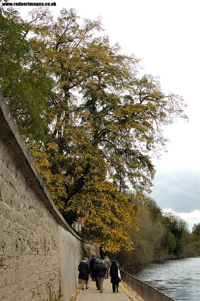 River Wye