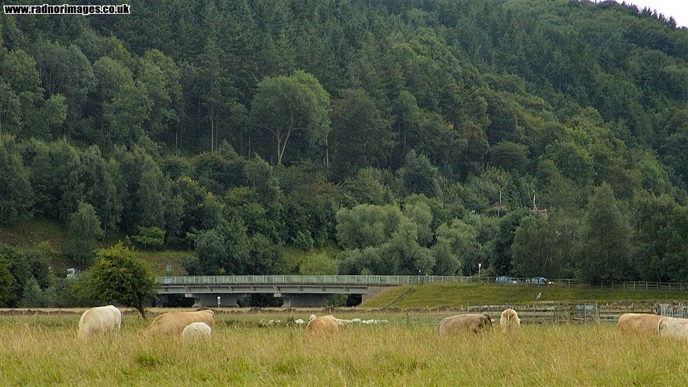 River Wye