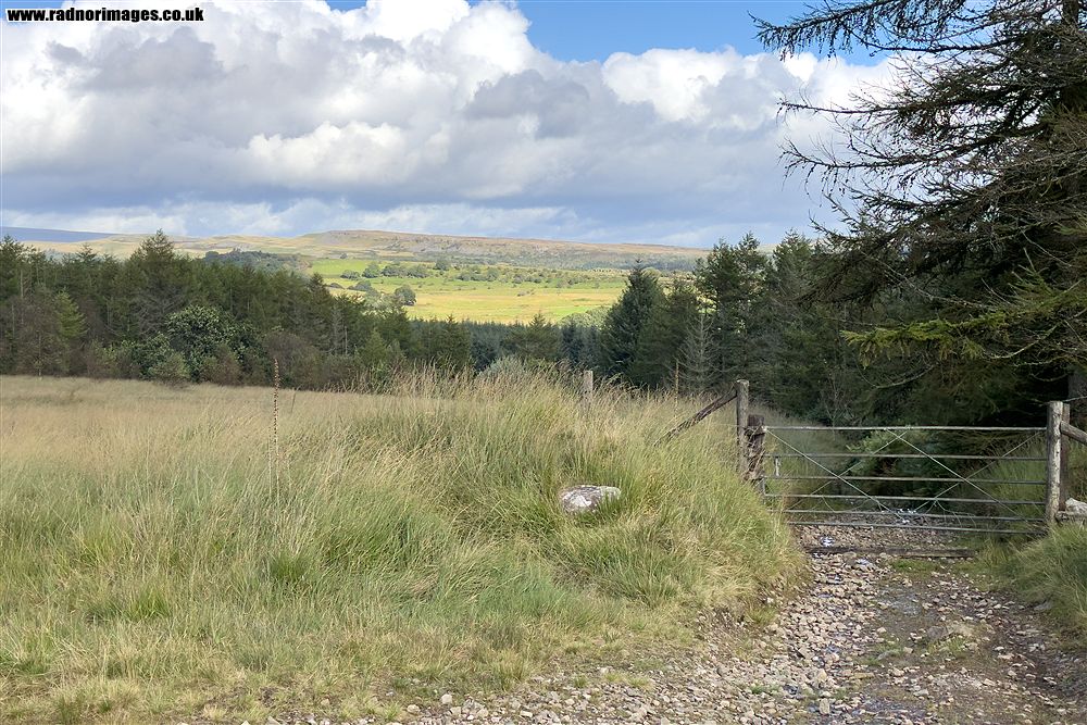 Sarn Helen