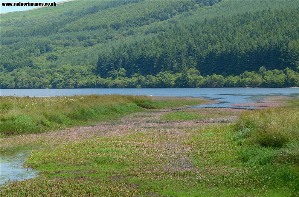 Talybont on Usk
