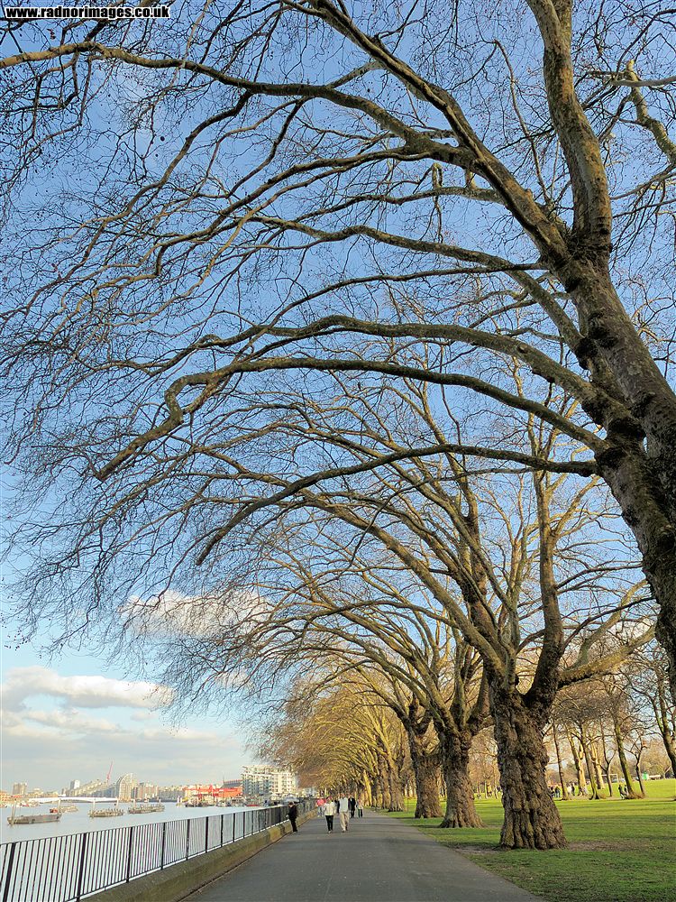 Wandsworth