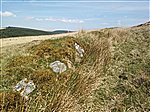 Llanwrtyd