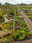 National Botanic Garden of Wales